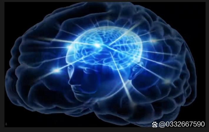 知名女星与富商分手内幕曝光，双方各执一词引发网友站队
